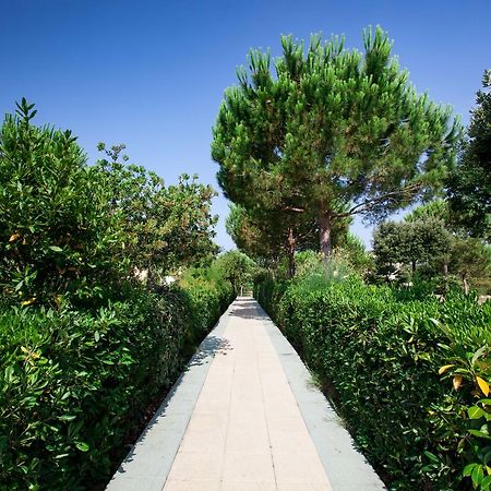 Residence Delle Gorette Marina di Cecina Bagian luar foto